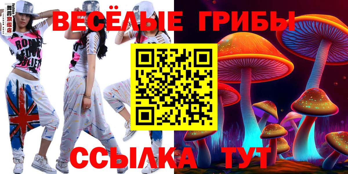 купить  сайты  Галлюциногенные грибы ЛСД  Вход с VPN  Аргун 