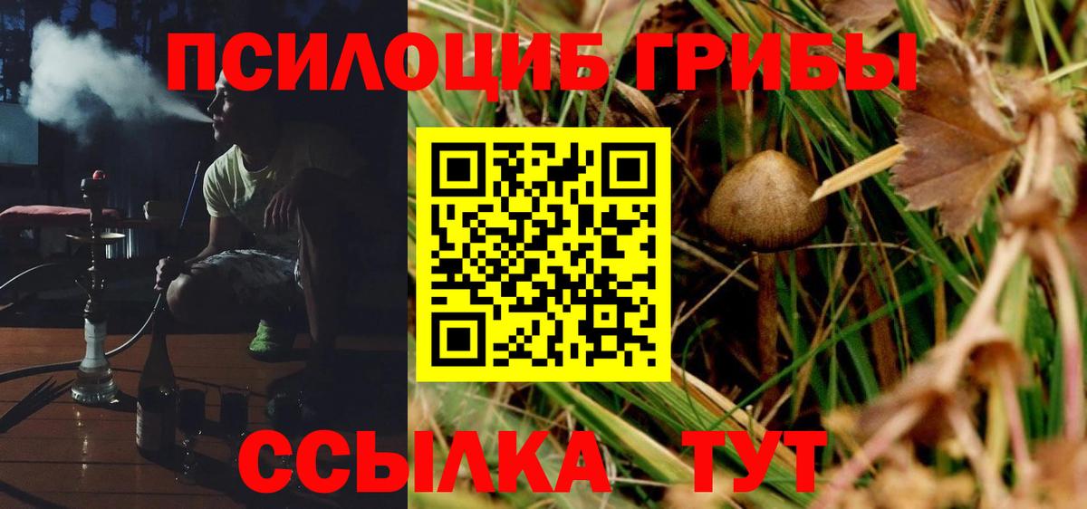 Галлюциногенные грибы Magic Shrooms Аргун